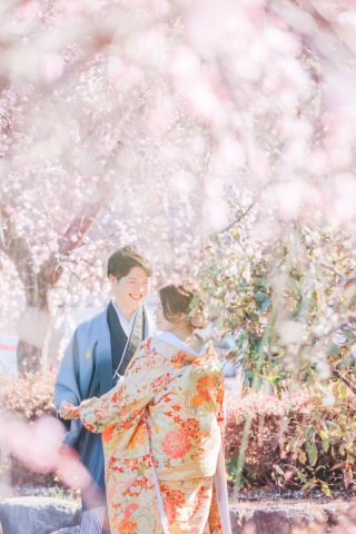 富士周遊ロケーション梅の花も開花しております