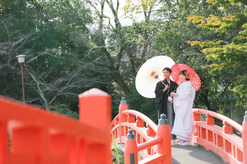 お茶畑で日本らしい和装写真の撮影
