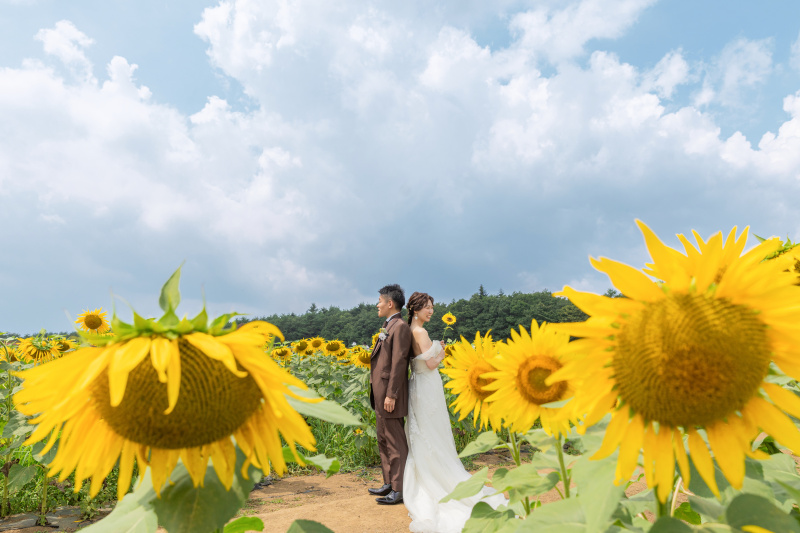 夏の撮影!お花畑や緑で撮影