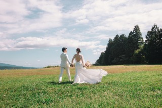 韓国風芝生フォトも