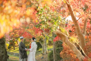 秋の紅葉シーズン間近です