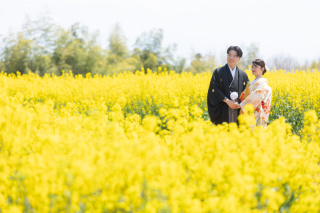 菜の花や桜など4月からはお花がたくさん開花します