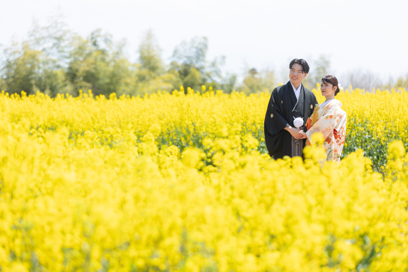 菜の花や桜など4月からはお花がたくさん開花します