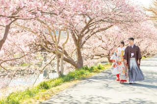 2月に桜が満開に!?期間限定33,000OFFの伊豆プランのご予約受付中!!