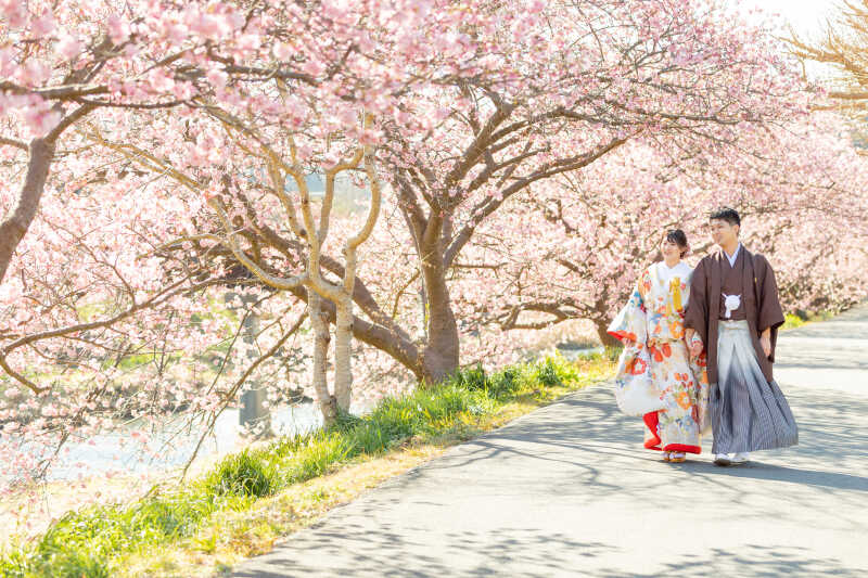 2月に桜が満開に!?期間限定33,000OFFの伊豆プランのご予約受付中!!