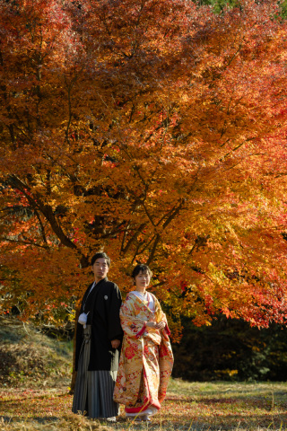 浅間大社、紅葉