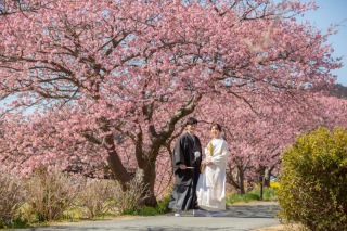 2月お勧め、一足早い春のウェディングフォト