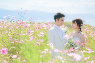 秋のコスモス撮影