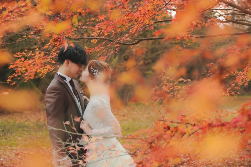 秋の紅葉シーズン11月上旬〜12月中旬頃まで