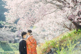 2月の河津桜撮影プラン詳細です