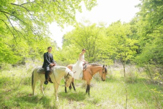 初夏の美しい森の中で撮影できる乗馬プラン