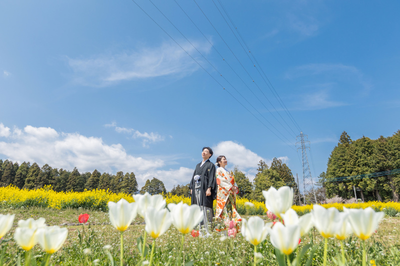 菜の花や桜など4月からはお花がたくさん開花します