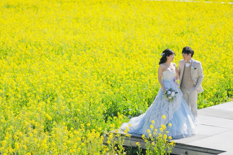 360° 菜の花に囲まれて一足先に春を楽しみませんか?