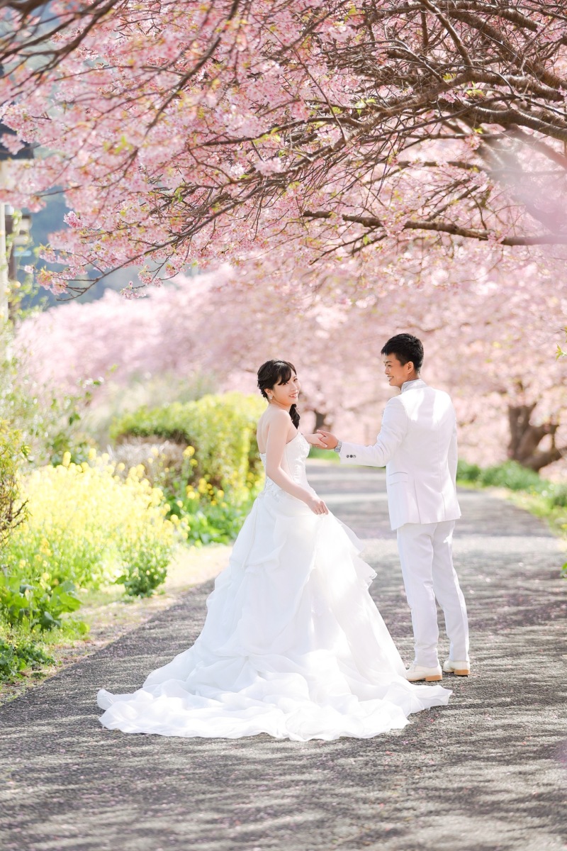 河津桜プランご予約開始致しました