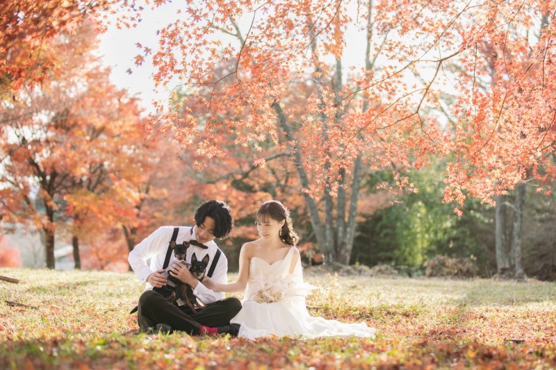 紅葉シーズン空き残りわずかです