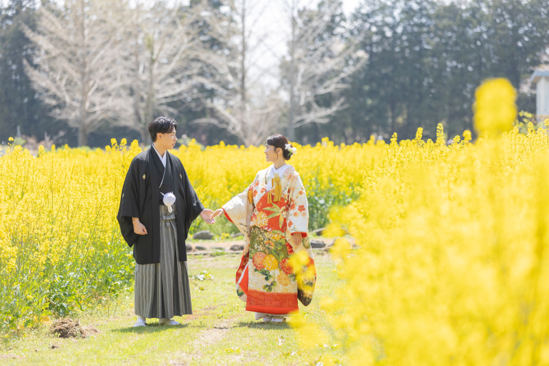 菜の花や桜など4月からはお花がたくさん開花します