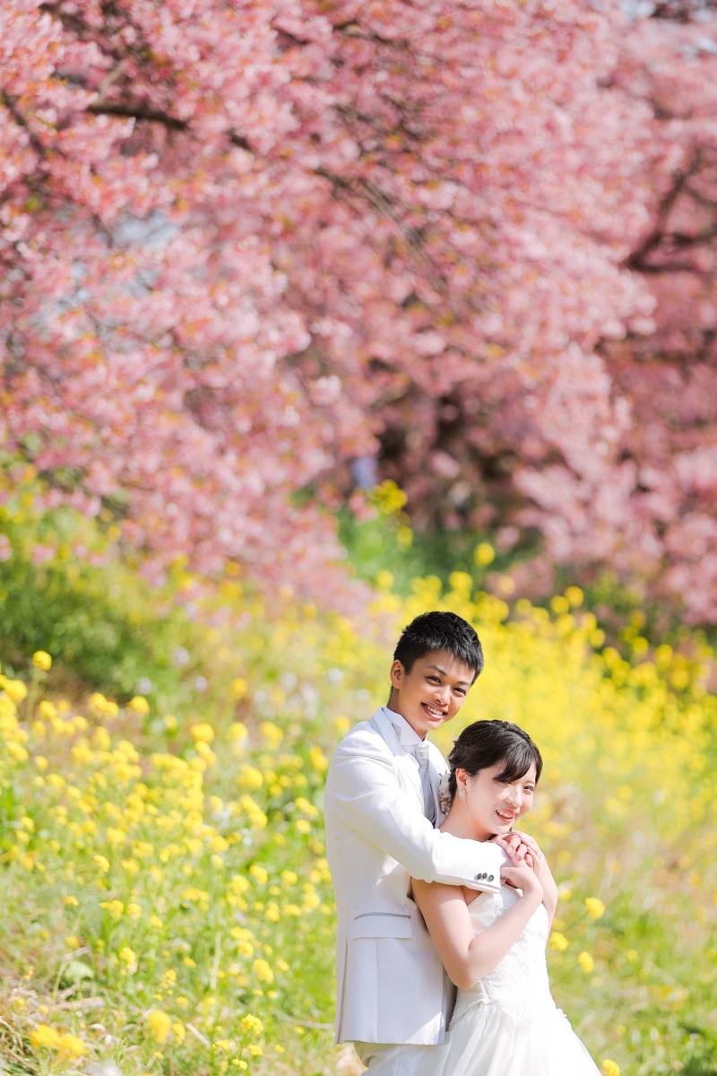 河津桜プランご予約開始致しました