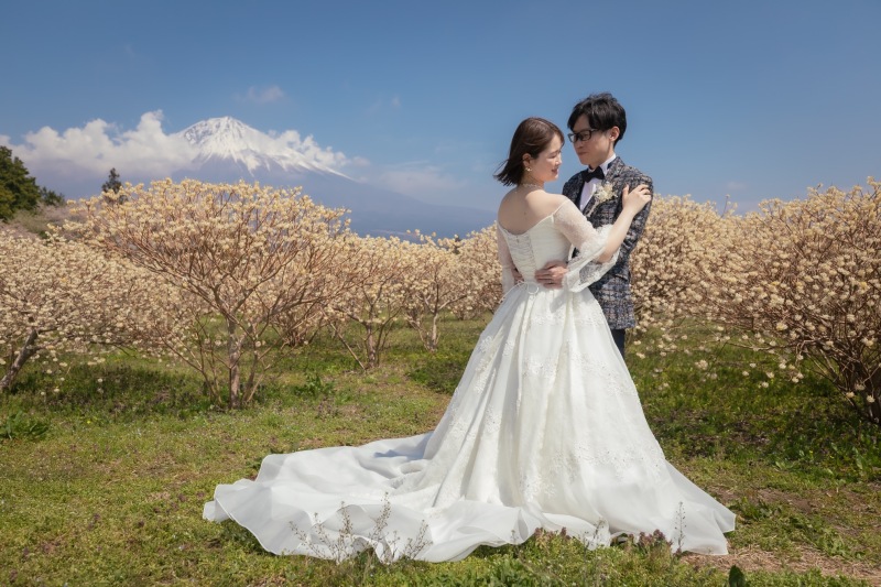 4月の桜+富士山ロケーションフォト