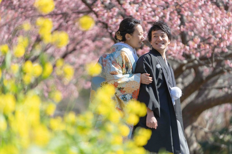 2月の河津桜撮影プラン詳細です