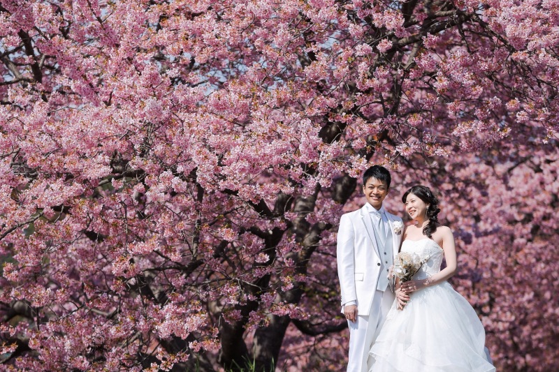 南伊豆河津桜ロケーションフォト