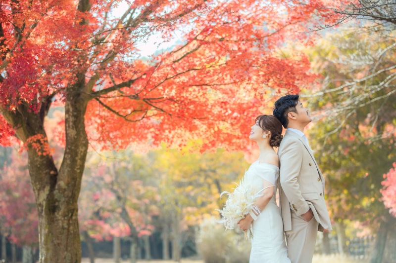 紅葉ロケーション