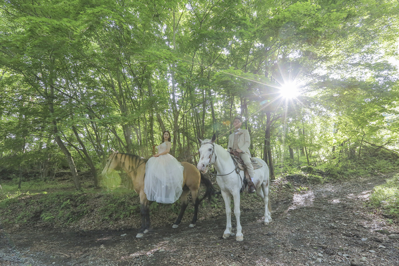 美しい広大なロケーションでの乗馬結婚写真