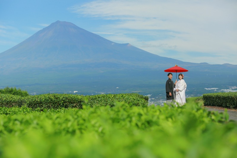 お茶畑で日本らしい和装写真の撮影