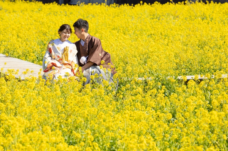360° 菜の花に囲まれて一足先に春を楽しみませんか?