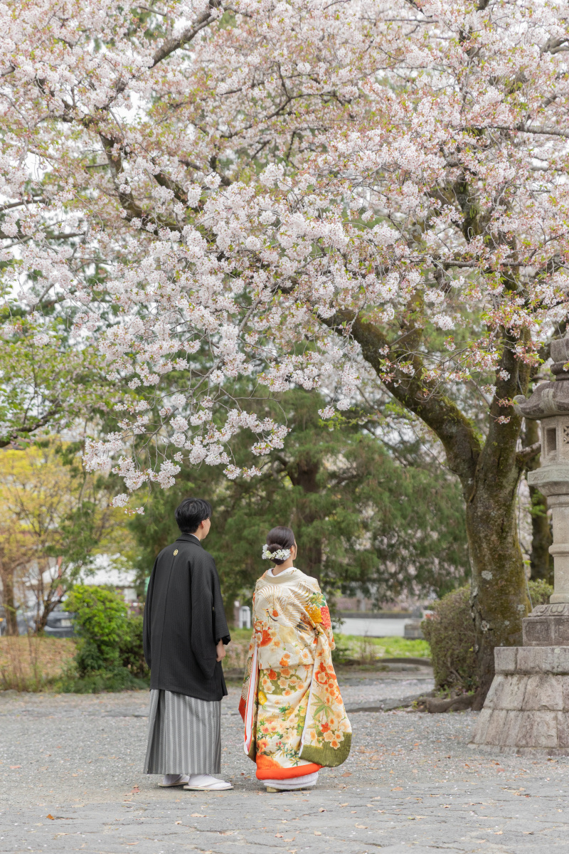 菜の花や桜など4月からはお花がたくさん開花します