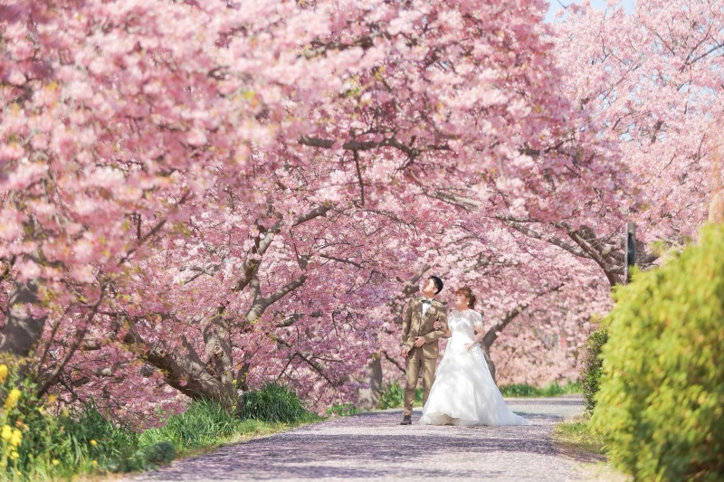 一足早い桜のロケーションフォトが撮影できるプランがあるの？