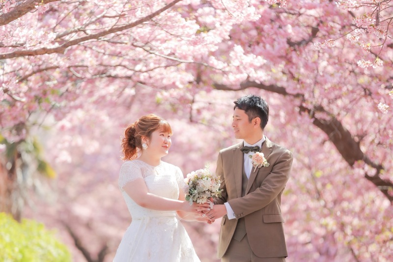 一足早い桜のロケーションフォトが撮影できるプランがあるの？