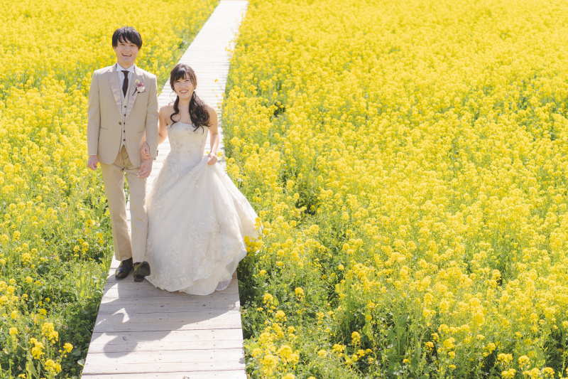 【河津桜】お得なキャンペーンがさらに追加！