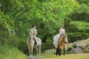 映画の様な森での乗馬ウェディング写真
