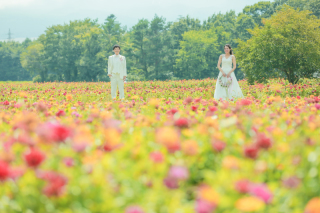 8月はお花の綺麗な季節です