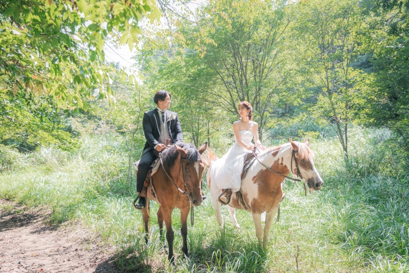 来年春までの乗馬ロケーションフォトにつきまして