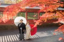富士宮浅間大社で撮影する結婚写真
