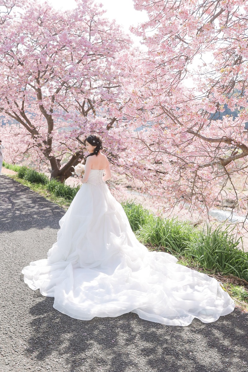 河津桜プランご予約開始致しました