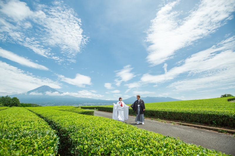 お茶畑と富士山
