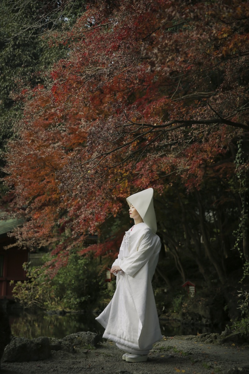 富士宮浅間大社の四季折々のフォト