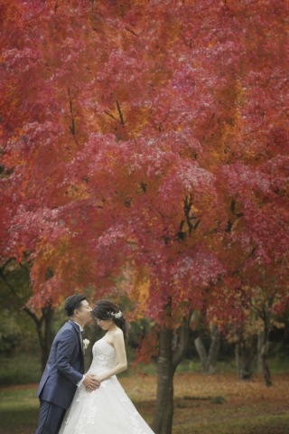 富士の紅葉撮影、少し空きが出ました!