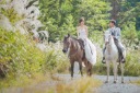 乗馬でお馬さんと撮影できるウェディングロケーションフォト