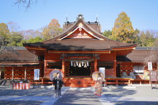 富士宮浅間大社限定新プランも登場!