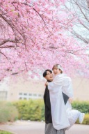 富士周遊プランも春がおとづれております。