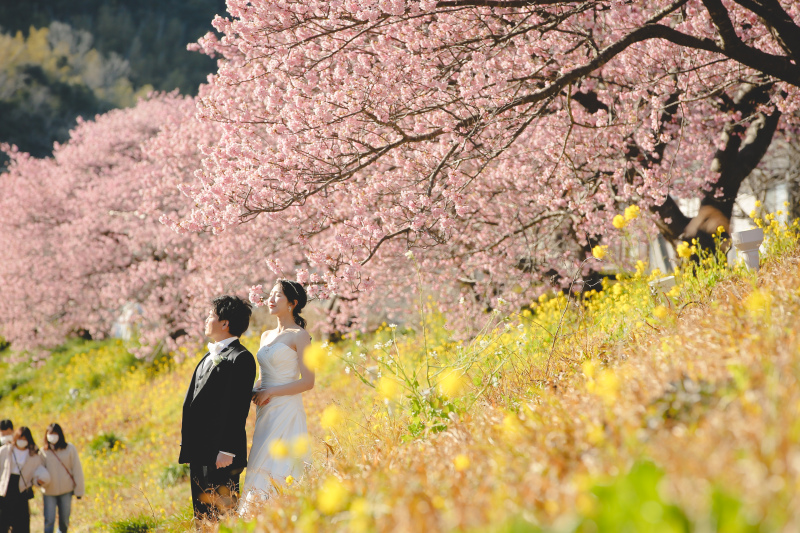 河津桜プラン、嬉しい早期割引特典+2月上旬はさらにお得