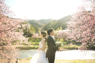 ご予約枠残りわずか!河津桜ロケーション