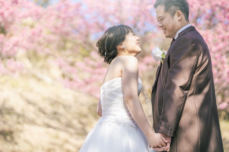 まもなく開花、2月~3月上旬の河津桜ロケーションフォト
