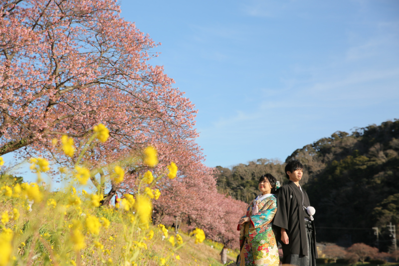 まもなくシーズン到来！河津桜ロケーション