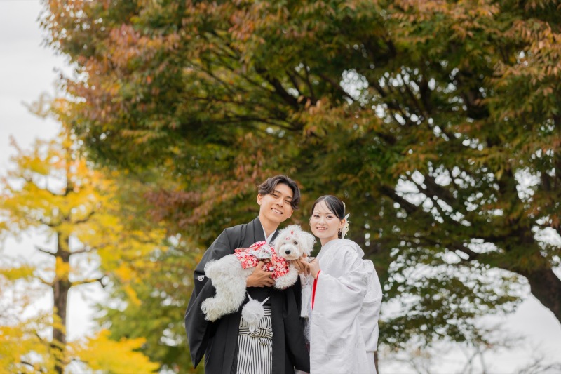 紅葉シーズン始まりました