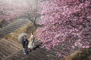 年内のご予約空き残りわずかです。オンライン受付可能です