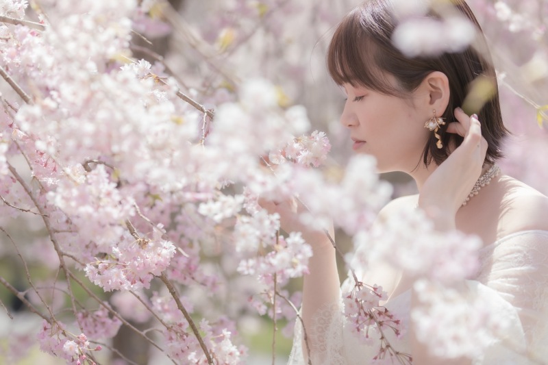 4月の桜+富士山ロケーションフォト